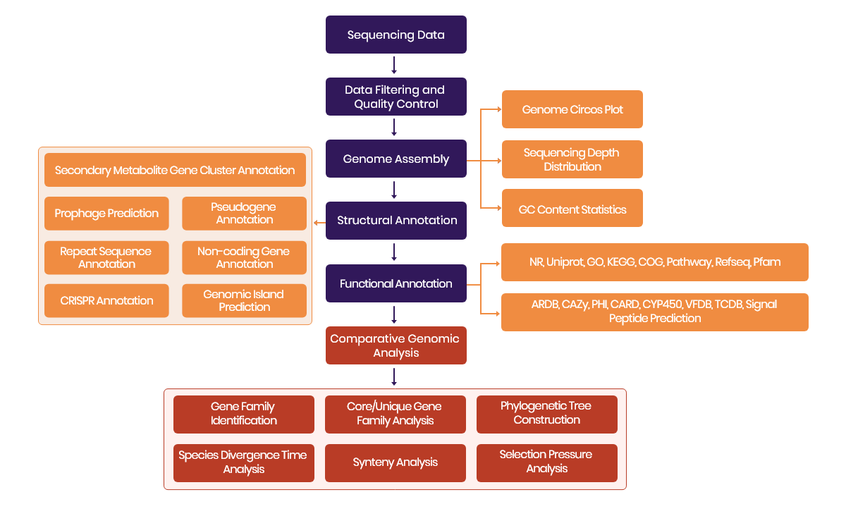 SAILGENE TECHNOLOGY INC. SMART Bacterial Complete Genome.png