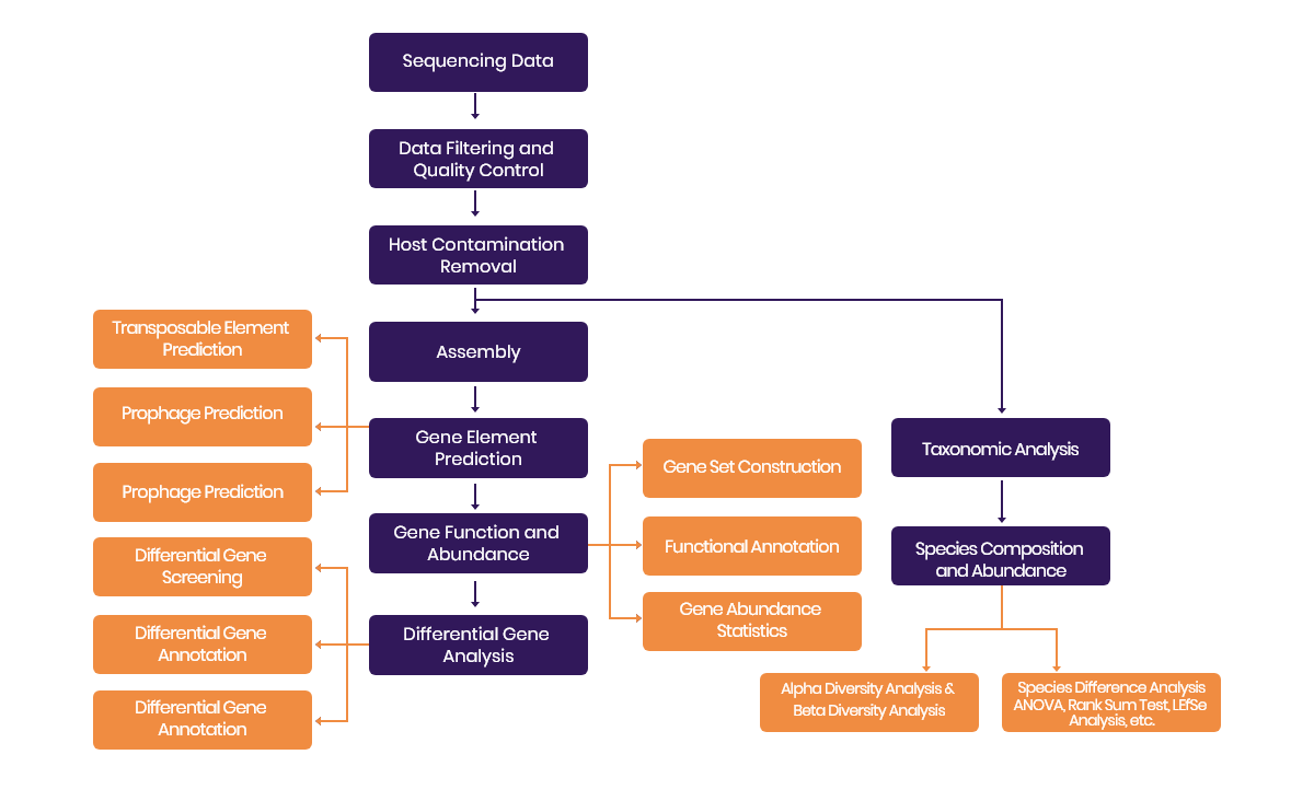 SAILGENE TECHNOLOGY INC. Full-Length Metagenomics.png