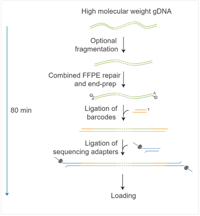 SAILGENE TECHNOLOGY INC. aaa595f4-2f8d-4de5-8114-c4d7c0f3917e.png
